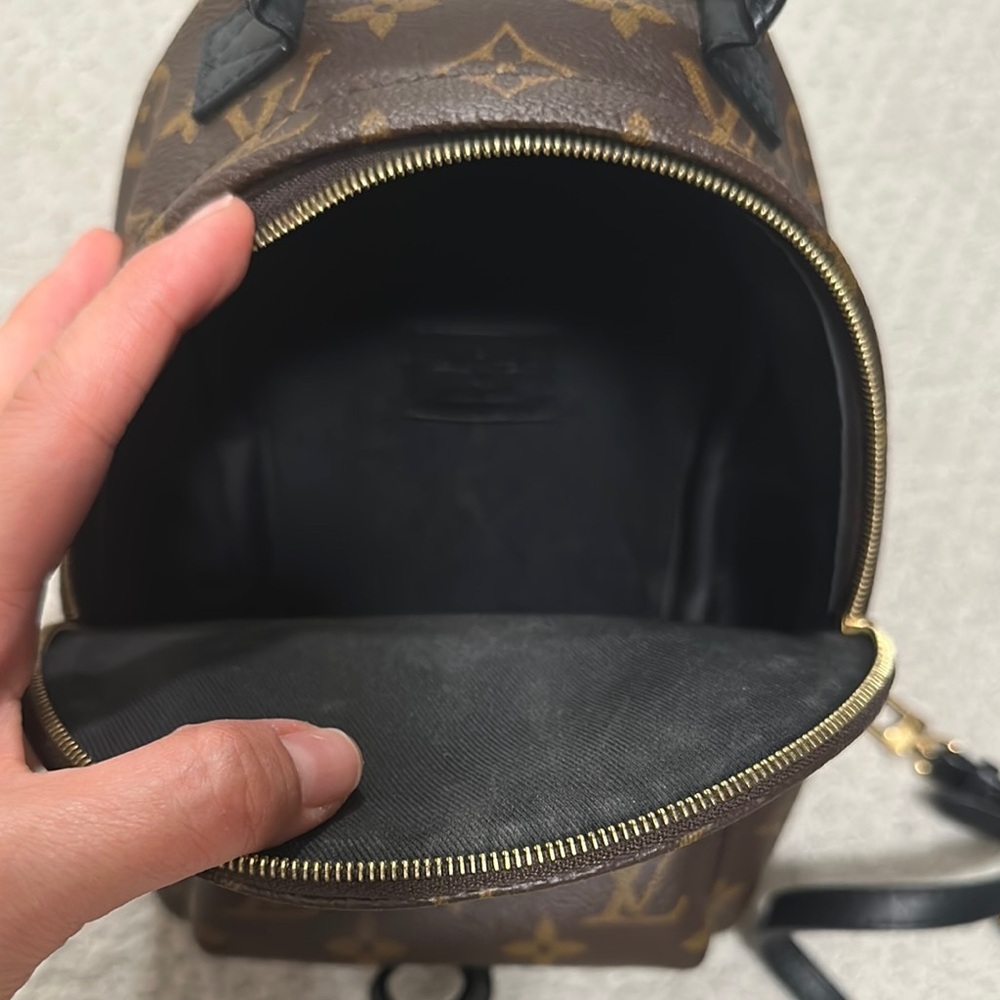 Louis Vuitton Monogram Palm Springs Mini Backpack - Picture 6 of 8